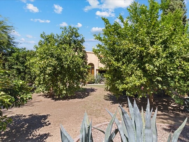 Photo - 10563 E Carol Ave