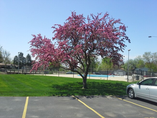 Photo - Apartment Homes of Wildwood Preserve in beautiful Oak Creek, WI