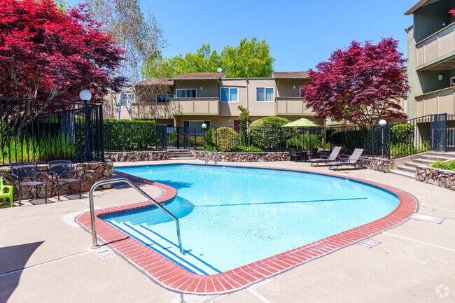 Primary Pool - Town House Plaza