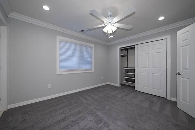 Stonington Gray Paint and Premium Plush
