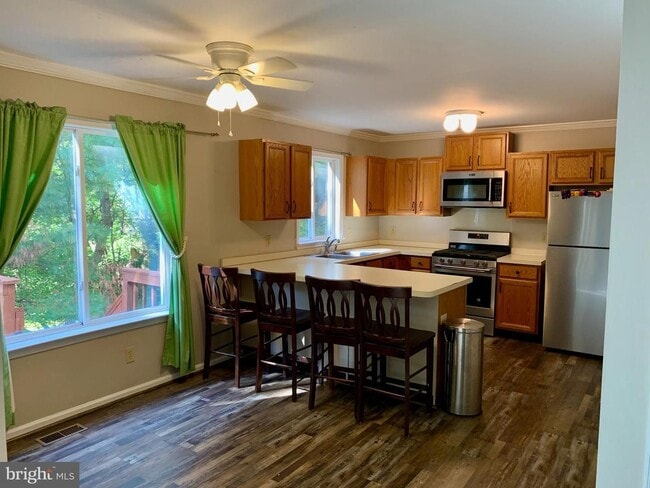 Photo - Welcome to Jenney’s Run!