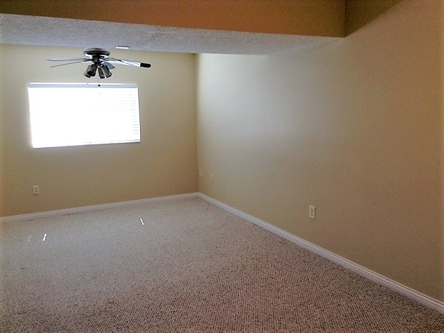 Photo - 689 Ackerly Dr