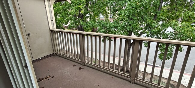 Photo - Modern 1BR/1BA Condo Available Now