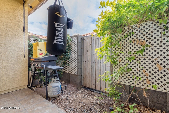 Backyard - 455 S Mesa Dr Rental