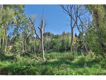 Nature Preserve Across Street - 10501 8th Ave NE Unit 421