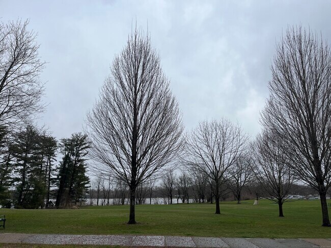 Photo - 253 Hartford Ave