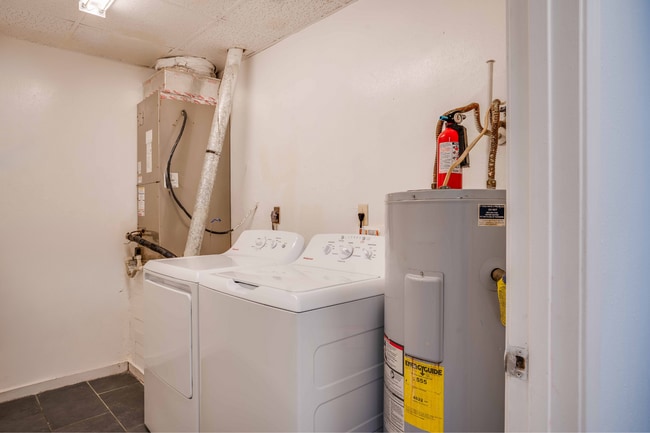 Photo - Mockingbird Garden