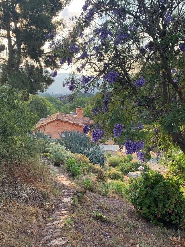 Photo - best of both worlds