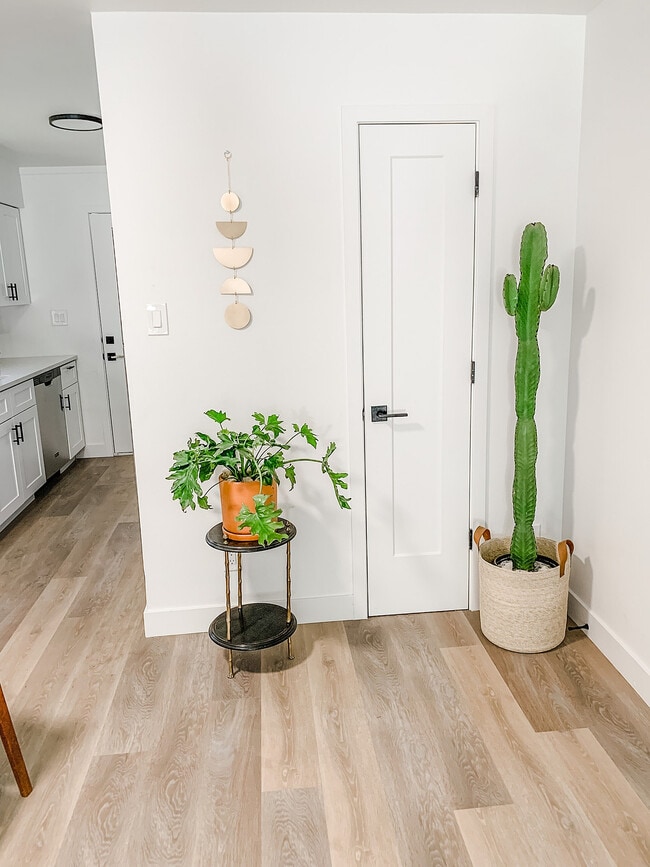 Apartamentos del siglo