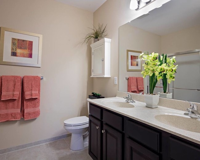 Photo - Albertson Village