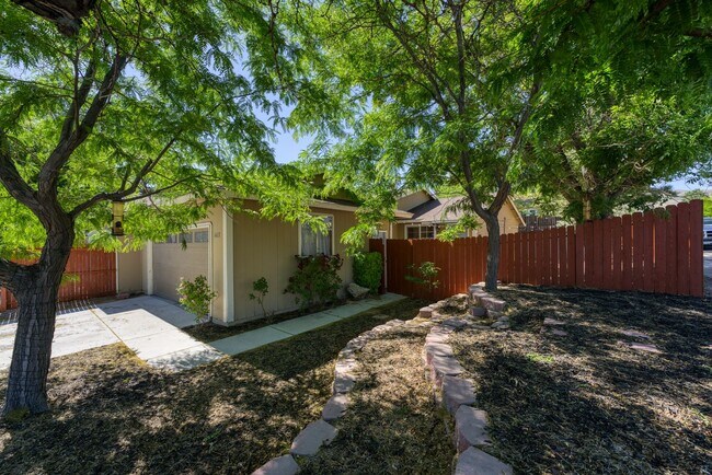 Photo - BIG VALUE small price!