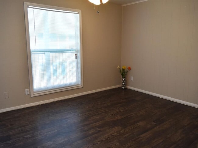 Photo - Lory of College Station