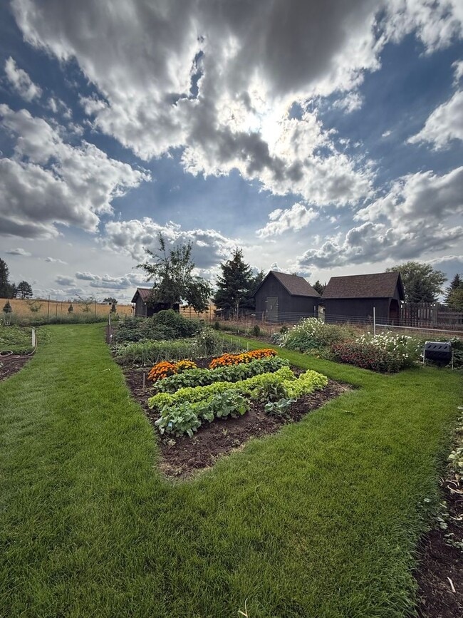 Photo - 6616 E Orchard Rd