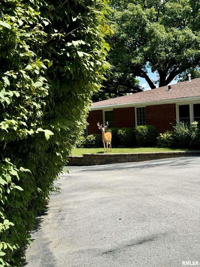 Photo - 4640 5th Ave