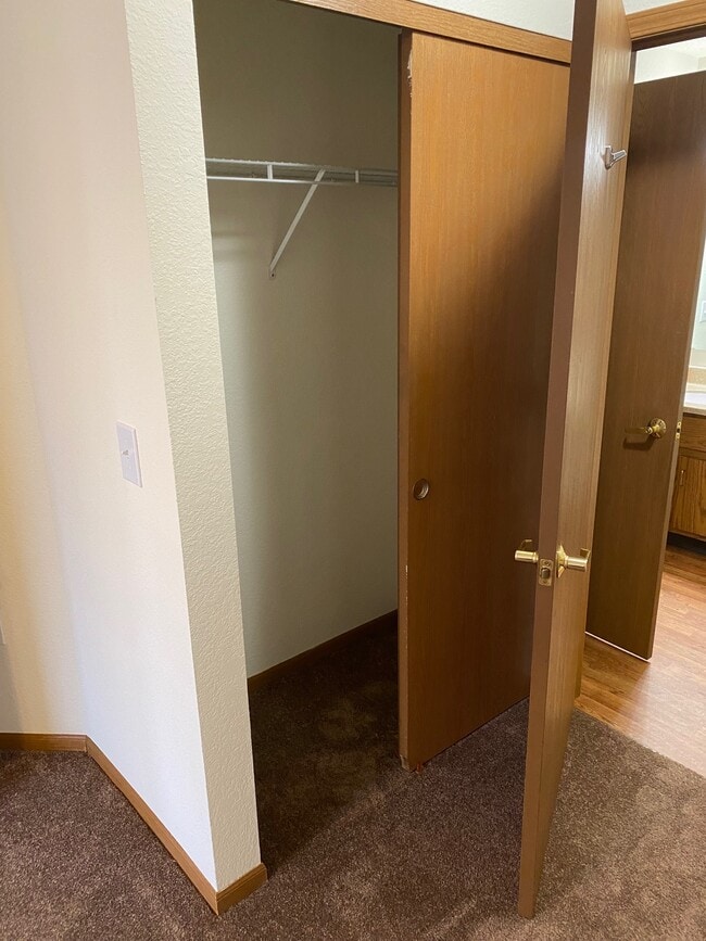Bedroom Closet 2