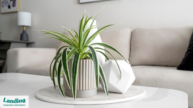 Photo - 170 Emery Ave NW Unit 2019