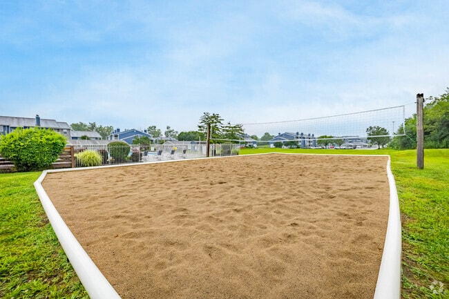 Volleyball Court