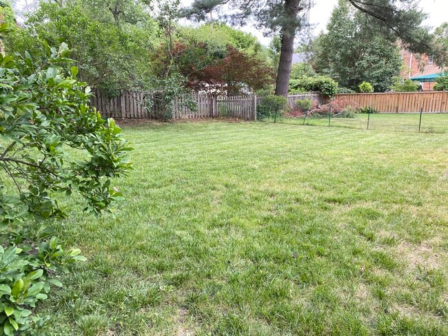 Flat Backyard - 369 Rockhill Rd