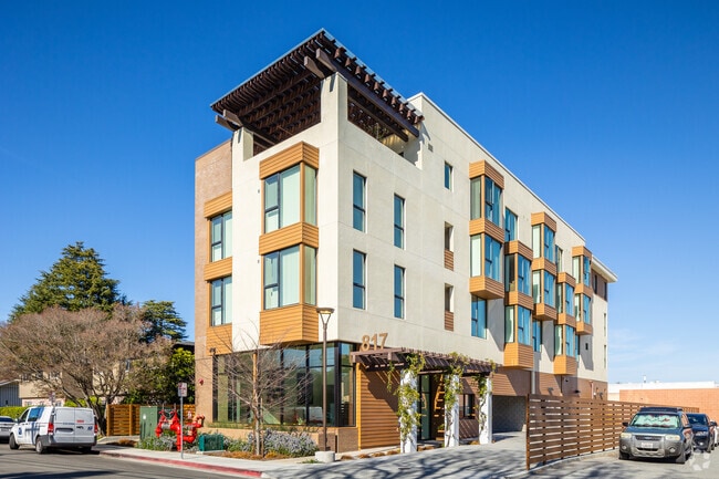 Primary - Walnut Studios