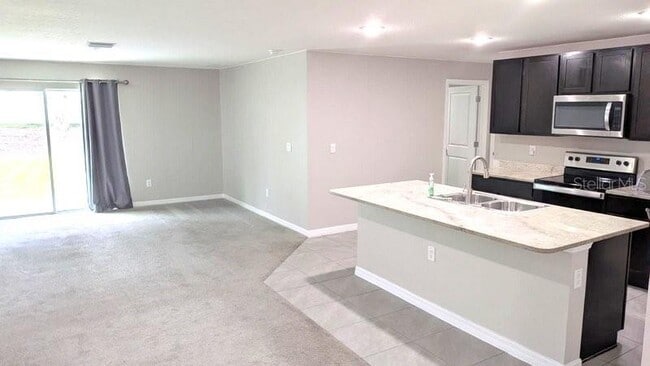 13667 Whiskey Daisy Dr