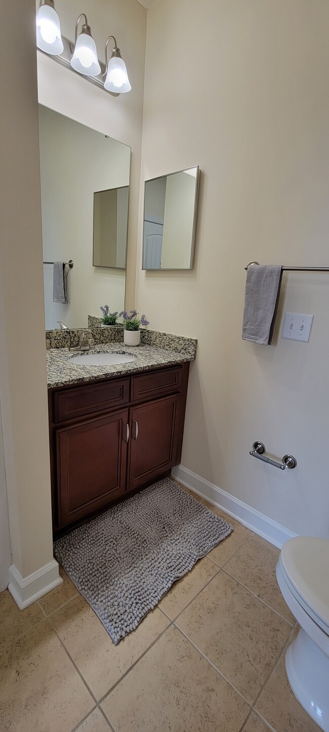 Vanity - Palisades at Waters Edge