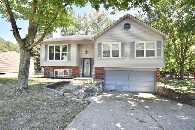 Photo - 647 Regent Rd