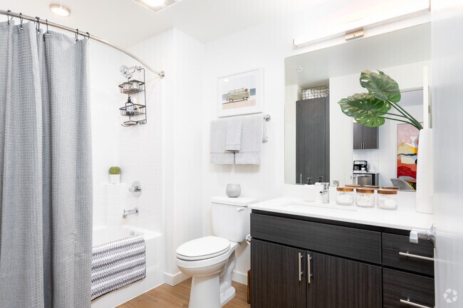 1BD, 1BA - 733-773SF - The Current