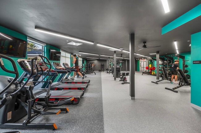 Gimnasio