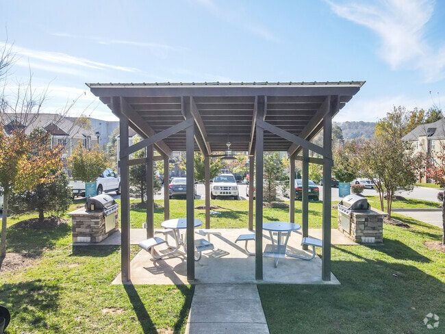 Grilling Area - Hawthorne at Southside III