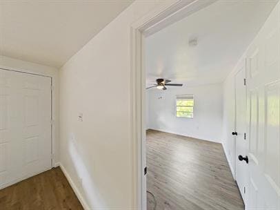 Building Photo - 230 Daffodil St