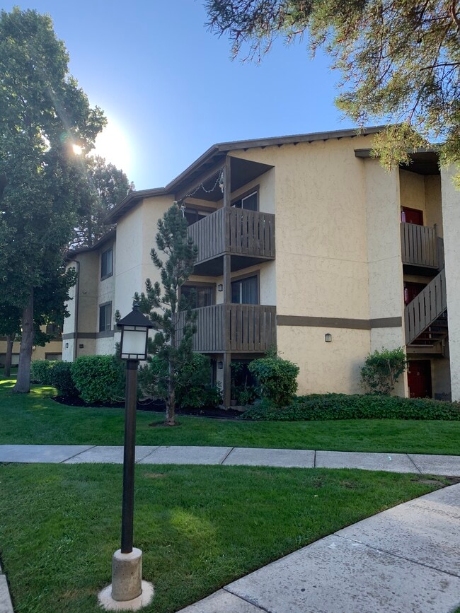 Photo - Elmwood Apts