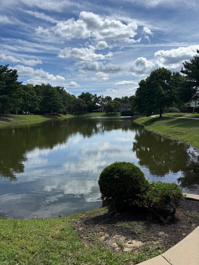 Back yard with lake view