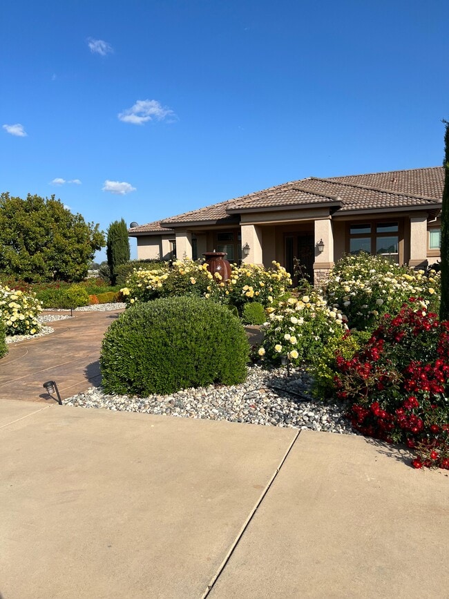 Photo - 9839 Trailhead Ct