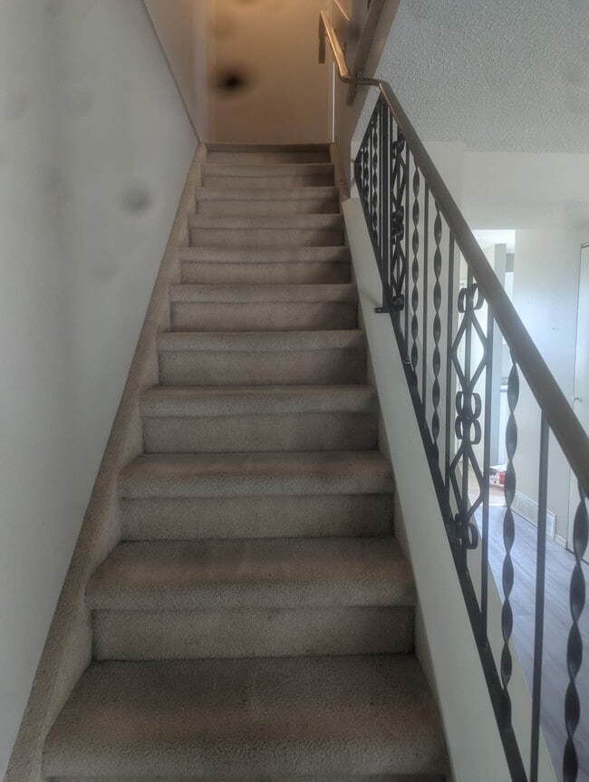 Photo - 63 Boyce St