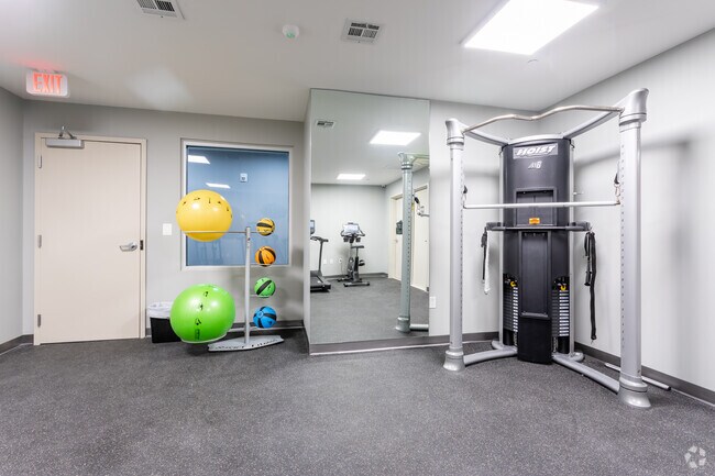 Fitness Center - SunBlossom Alivia