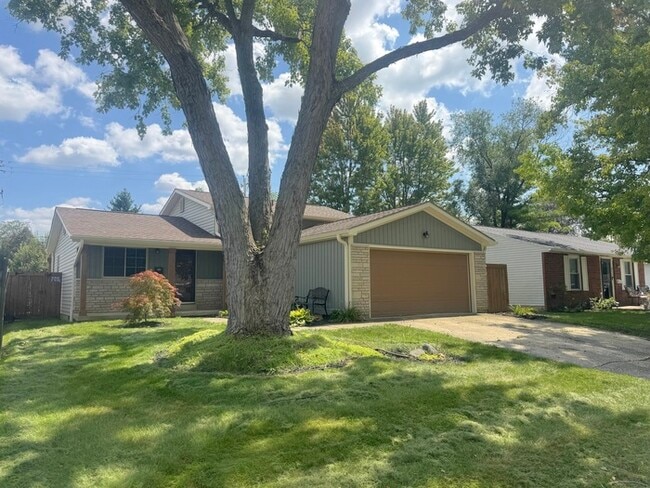 824 Ivy Brush Ct