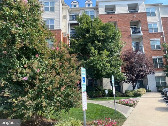 Photo - 350 W Elm St Unit 3310