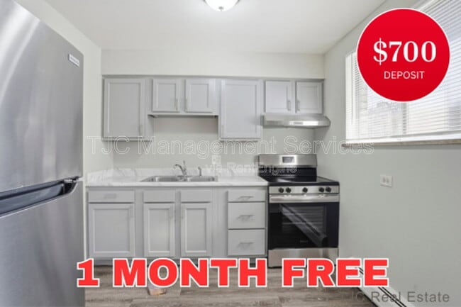 Building Photo - 970 N Downing St Unit 3