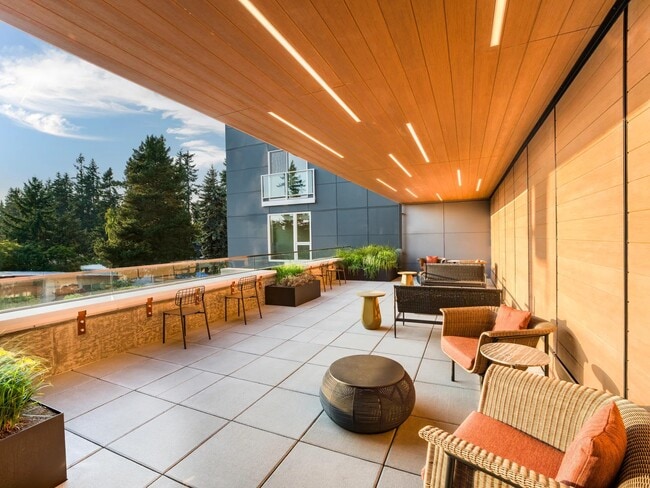 Relax beneath warm wood accents on Modera Shoreline’s terrace, offering inviting seating and tranquil treetop views.