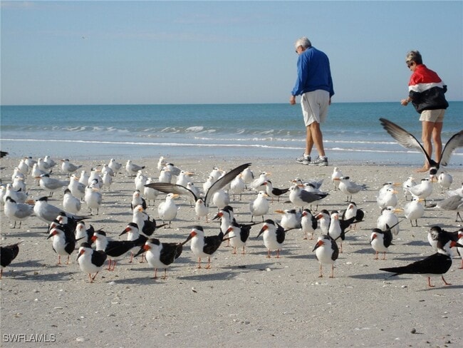 Building Photo - 672 100th Ave N