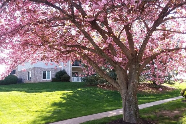 Photo - Society Hill