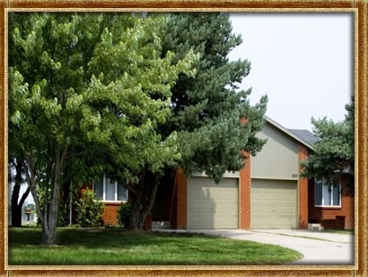 Photo - Whispering Pines