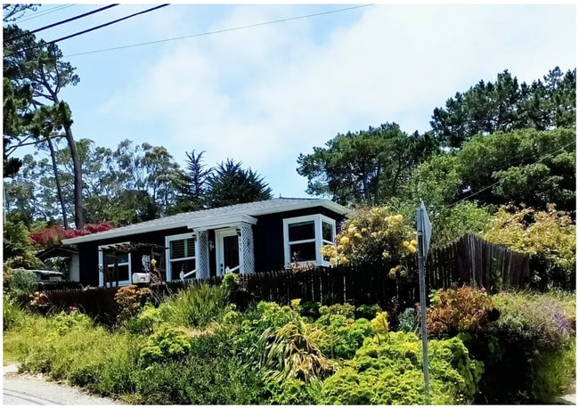 Photo - 699 Lottie St