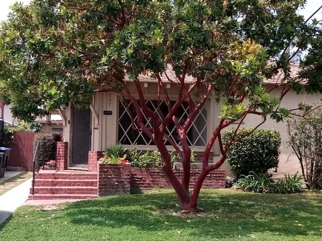 House from Curb - 737 N Avon St