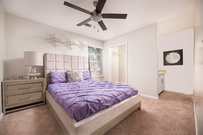 Colony Pointe