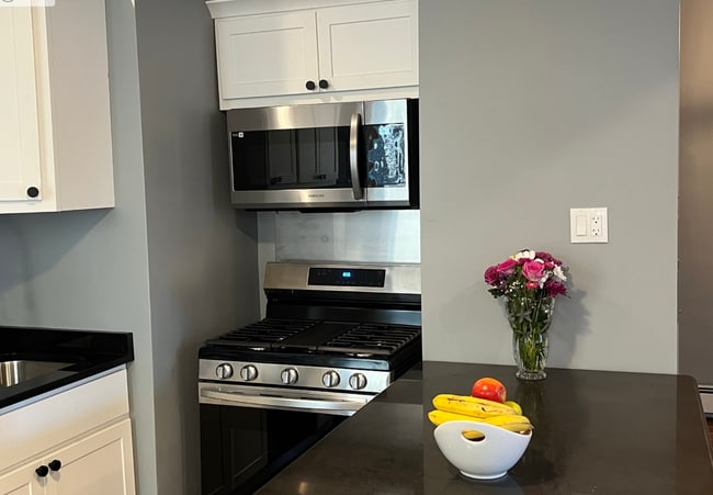 Range Stove - 17 Townsend St Unit 1