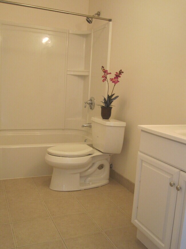 Photo - 20 Amici Way