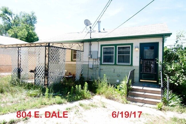 BACK DOOR & PATIO - 804 E Dale St Rental