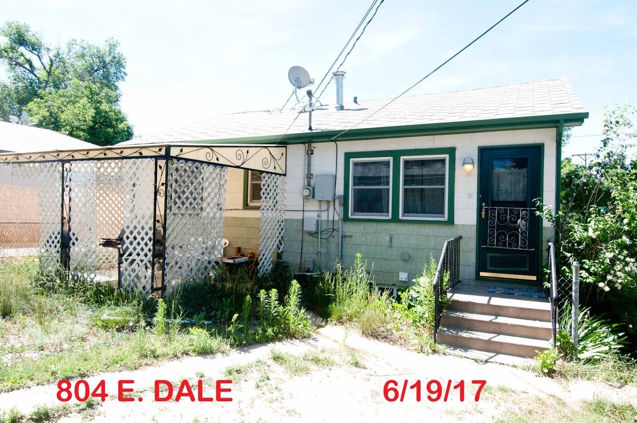 BACK DOOR & PATIO - 804 E Dale St (Colorado Springs, CO)
