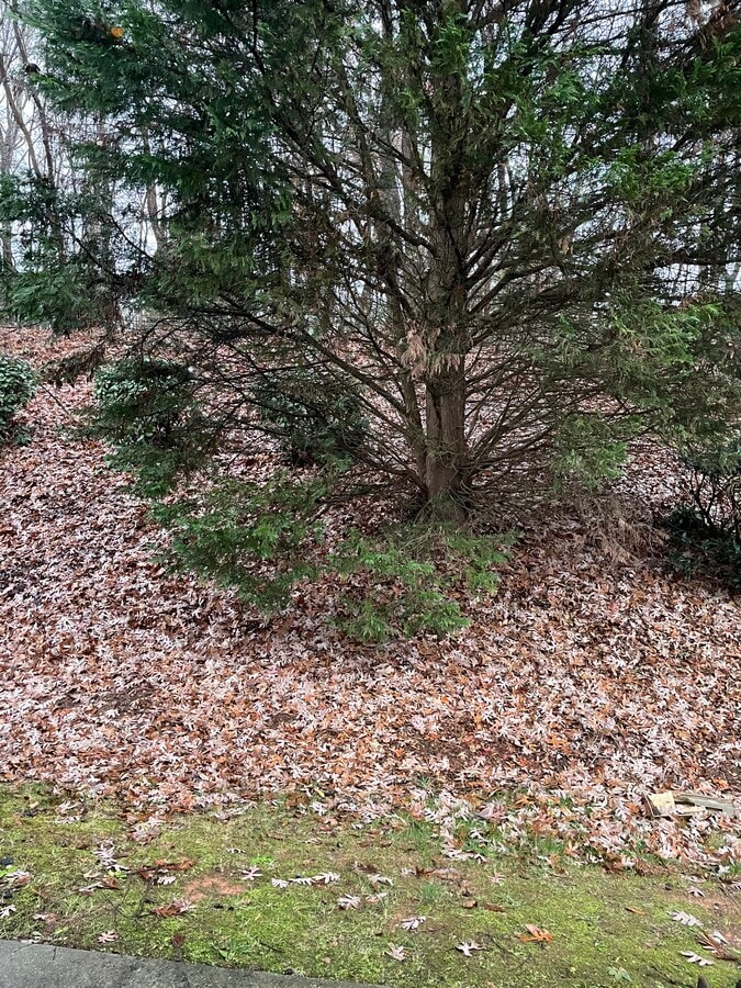 Photo - 5307 Strasburg Dr